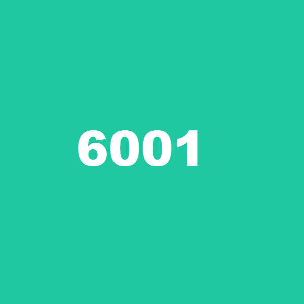 6001